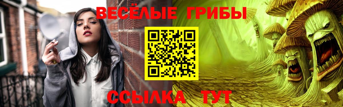 Армавир  Псилоцибиновые грибы мухоморы  Вход с VPN 