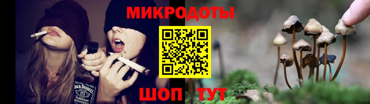 Галлюциногенные грибы мицелий  Армавир 